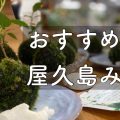 yakushima.shima_asobi.blog.recommended souvenirs