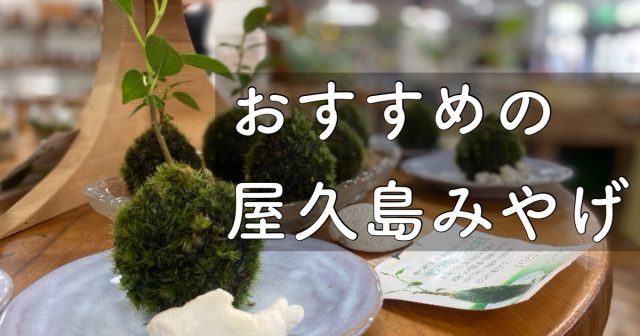 2025年 現地ガイドが選んだ「おすすめの屋久島みやげ」