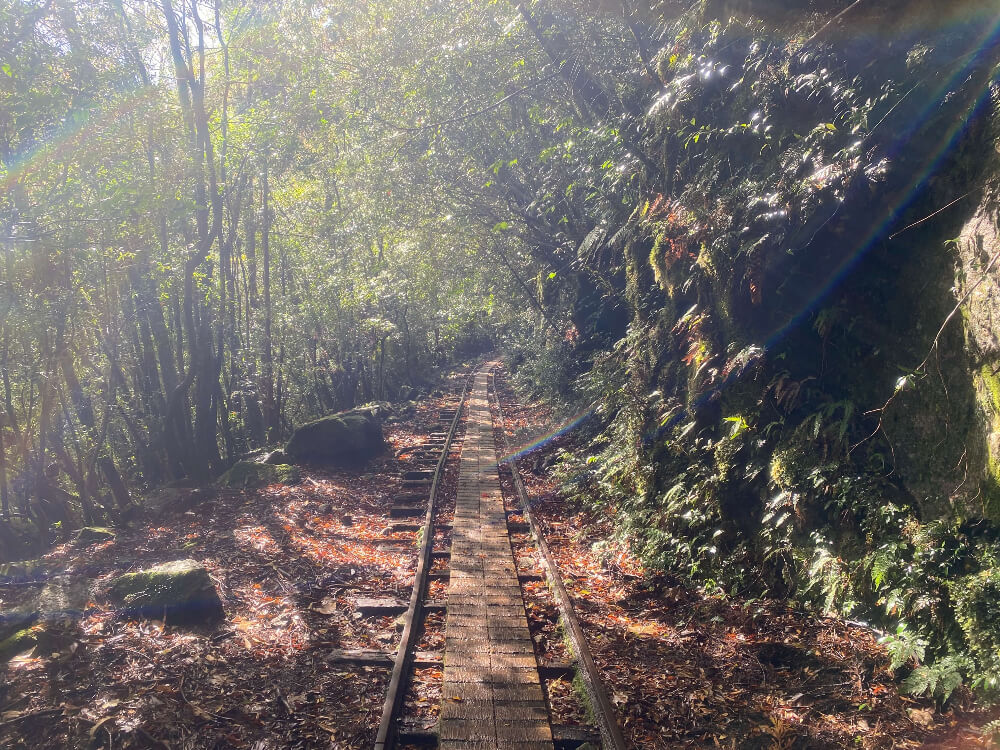 shima-asobi.blog.Minecart Track