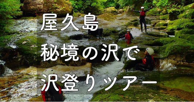 屋久島秘境の沢で、沢登りトレッキングツアー♪