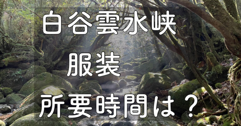 【2026最新】白谷雲水峡ガイドなし完全攻略！苔むす森へ行く服装と所要時間は？