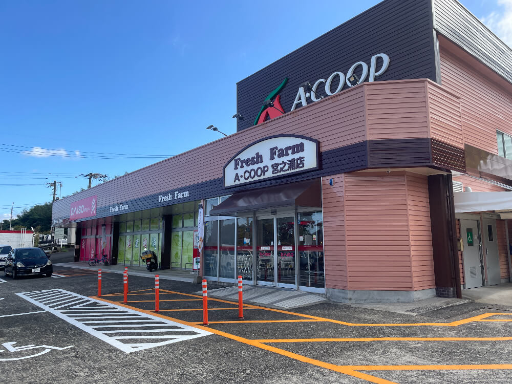 yakushima.Acoop.shimaasobi.blog