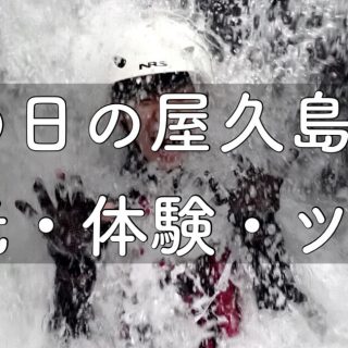 yakushima.shima-asobi.blog.rainyday_sightseeing_tour