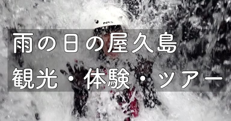 2025年 雨の日の屋久島の魅力！観光・体験・ドライブを楽しんじゃおう！