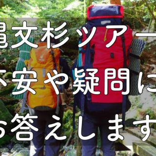 yakushima.shima_asobi.blog.answer.jomonsugi