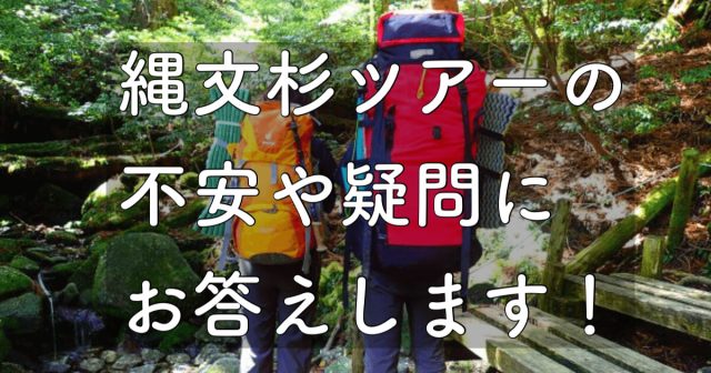 縄文杉(屋久杉)1泊2日ツアーの不安!?トレッキング中の疑問や不安にお答えします！