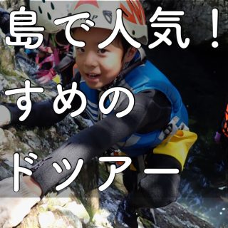 yakushima.shima_asobi.blog.popular tours