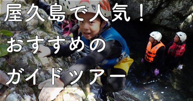 2025年 屋久島の人気オススメのガイドツアーのご紹介！【島あそび編】