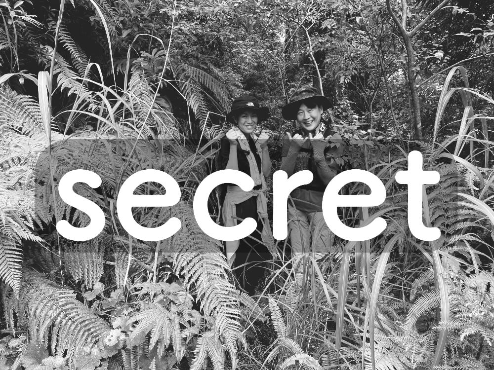 屋久島秘境ツアー風景3「島あそび」