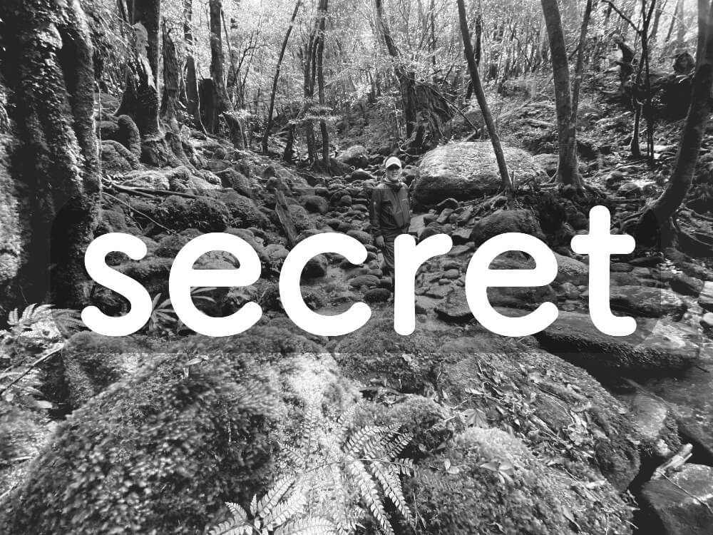 屋久島秘境ツアー風景5「島あそび」